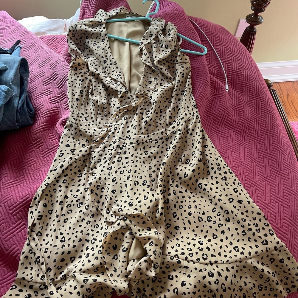 Sunday Best Dress (Aritzia)